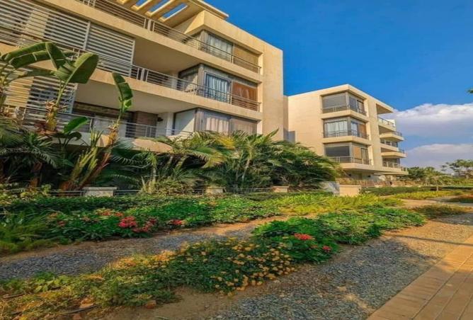 8518826 - Property Image 3