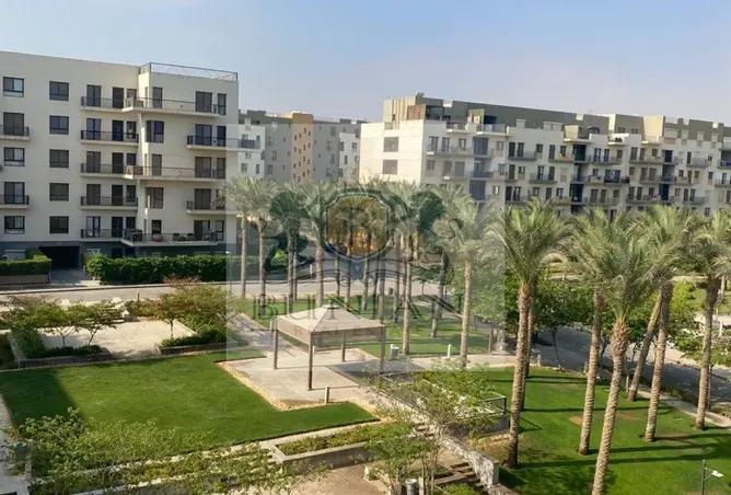 113265723 - صورة العقار 3