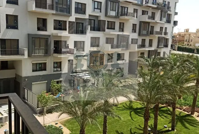 113265723 - صورة العقار 2