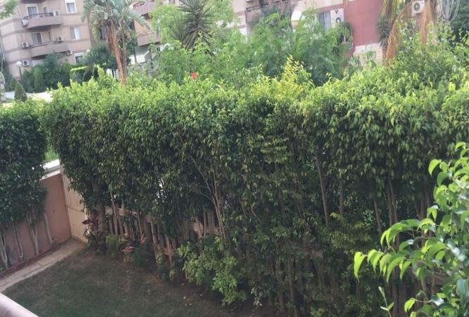 8542840 - صورة العقار 3