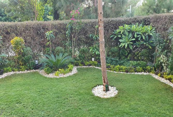 8704506 - Property Image 2