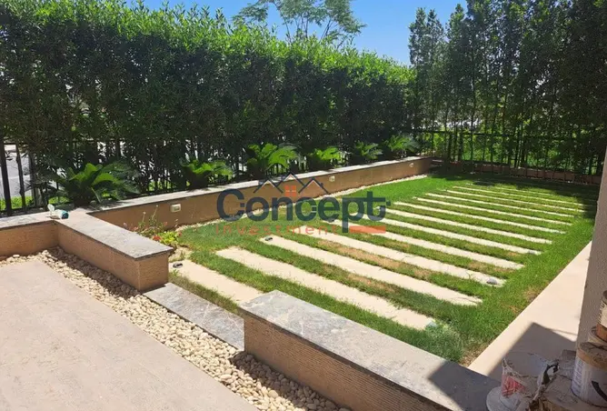 112979524 - Property Image 3