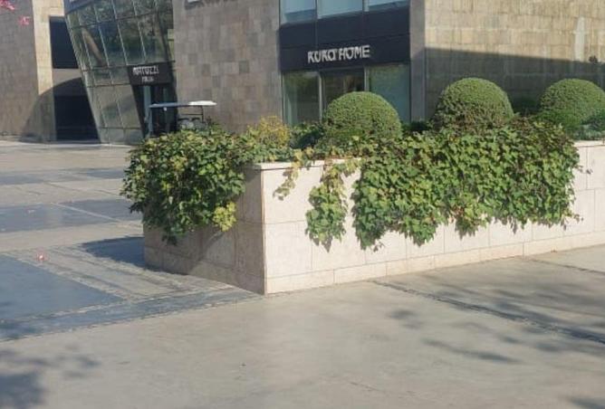 107406525 - Property Image 2