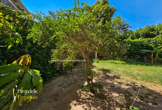106022088 - Property Image 2