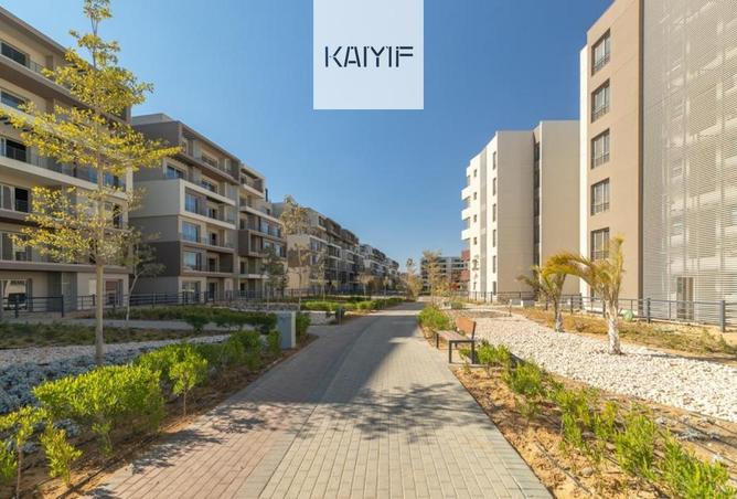 63139129 - Property Image 3