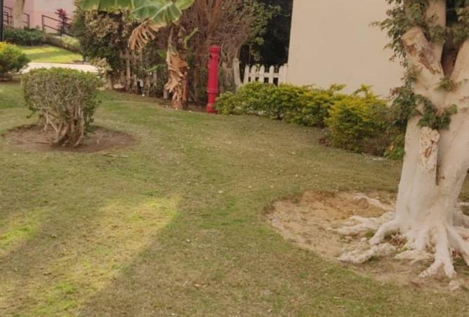 59241150 - Property Main Image