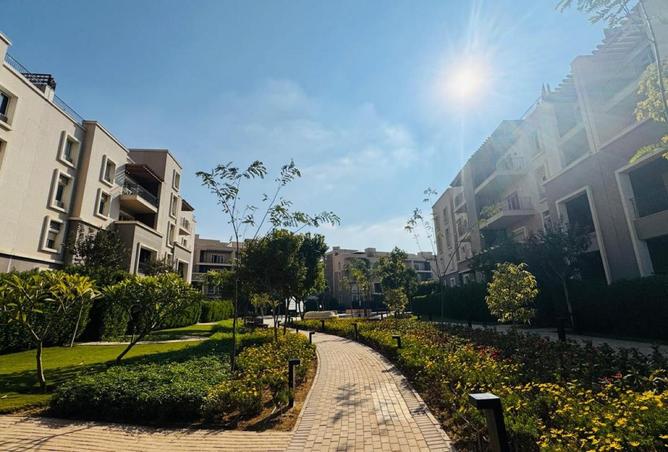 52721671 - صورة العقار 2