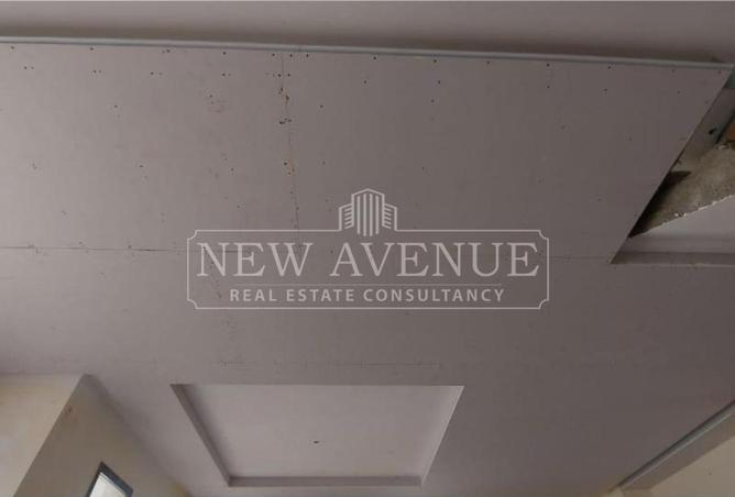 84773886 - Property Image 3