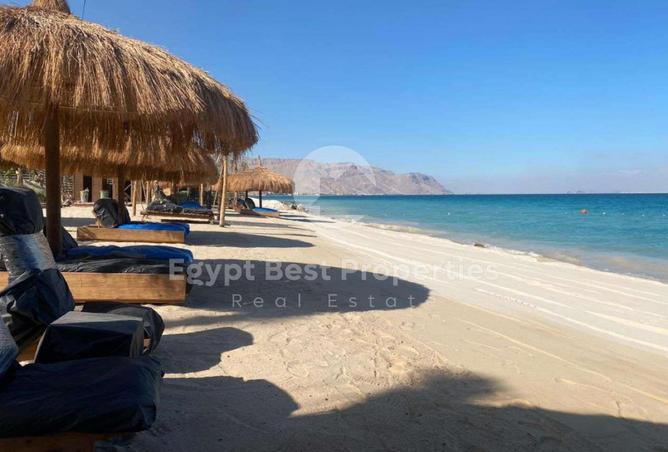 54496529 - صورة العقار 3