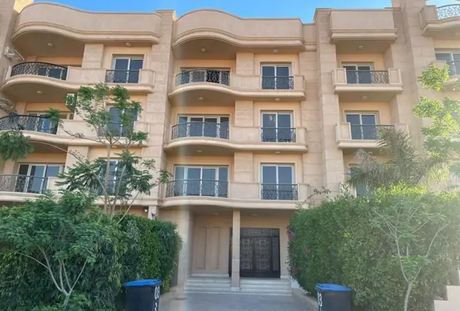 117275904 - Property Image 3