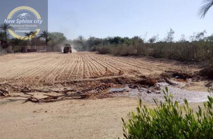 Land - Studio for sale in Ofok - Cairo Alexandria Desert Road - 6 October City - Giza