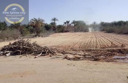 Land - Studio for sale in Ofok - Cairo Alexandria Desert Road - 6 October City - Giza