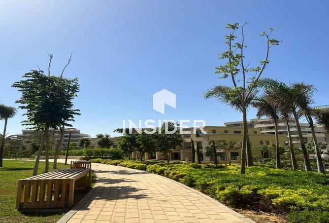 66702524 - صورة العقار 3