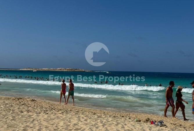 8543229 - Property Image 3