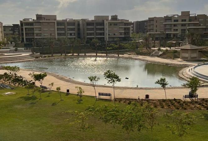 97719209 - صورة العقار 2