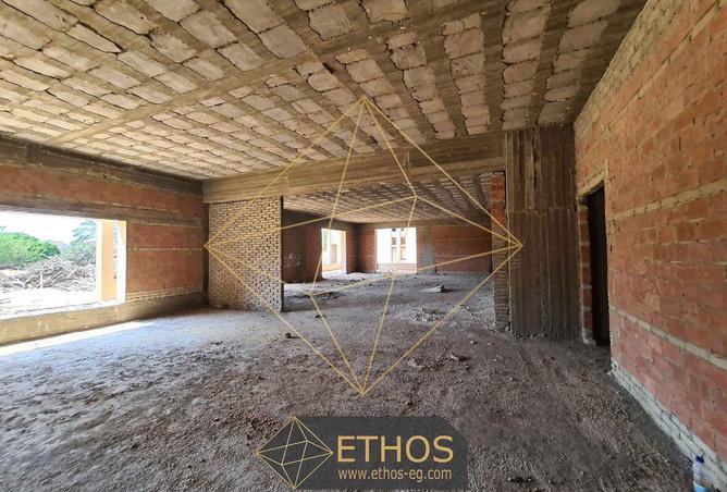 67479672 - Property Image 2