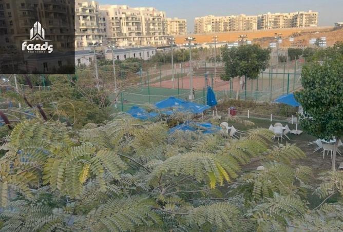 64135587 - صورة العقار 2