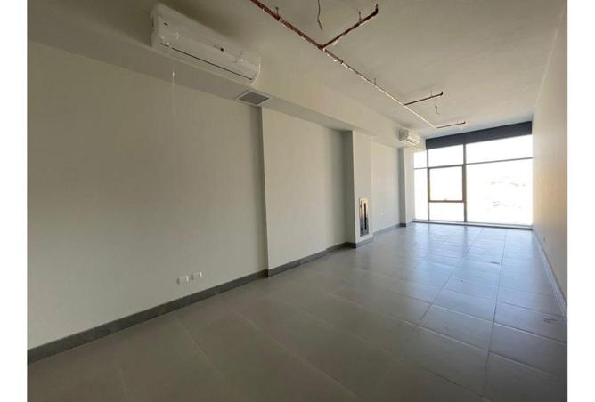 54240202 - Property Image 3