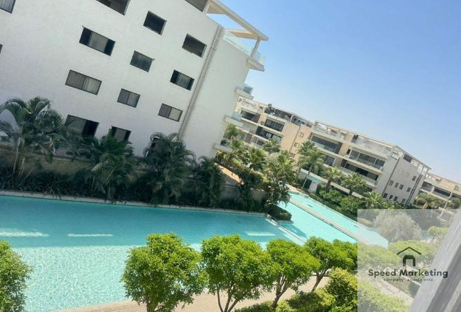 65166280 - صورة العقار 3