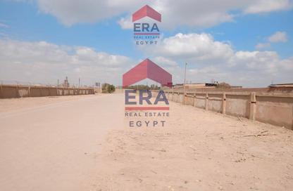 Warehouse - Studio - 6 Bathrooms for rent in Al Tibbeen - Autostrad Road - Helwan - Hay Helwan - Cairo
