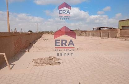 Warehouse - Studio - 6 Bathrooms for rent in Al Tibbeen - Autostrad Road - Helwan - Hay Helwan - Cairo