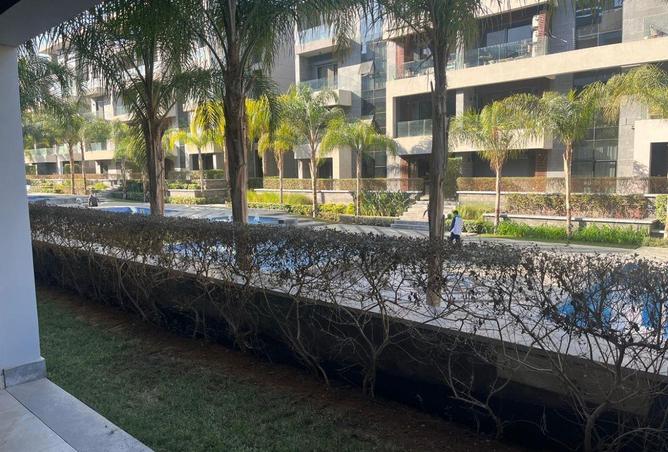 61450538 - Property Image 3