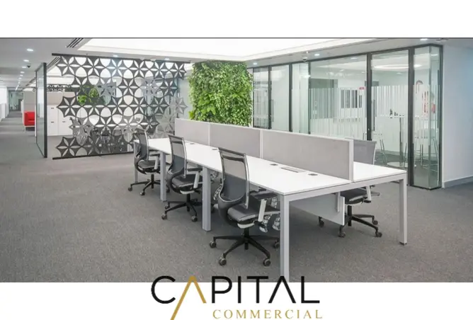 115181489 - Property Image 3