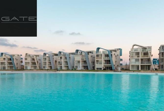 56248826 - Property Image 3