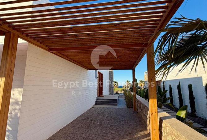 67736277 - صورة العقار 3