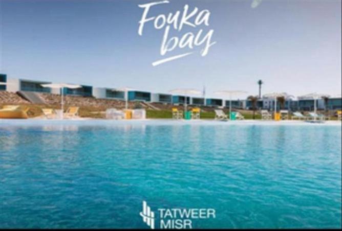 52972745 - صورة العقار 2