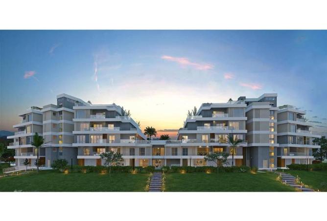 56263386 - Property Image 3