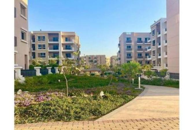 80264440 - صورة العقار 2