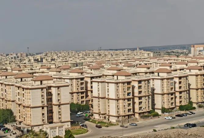 118539183 - Property Image 2