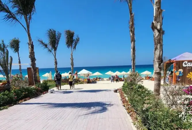82876637 - صورة العقار 2