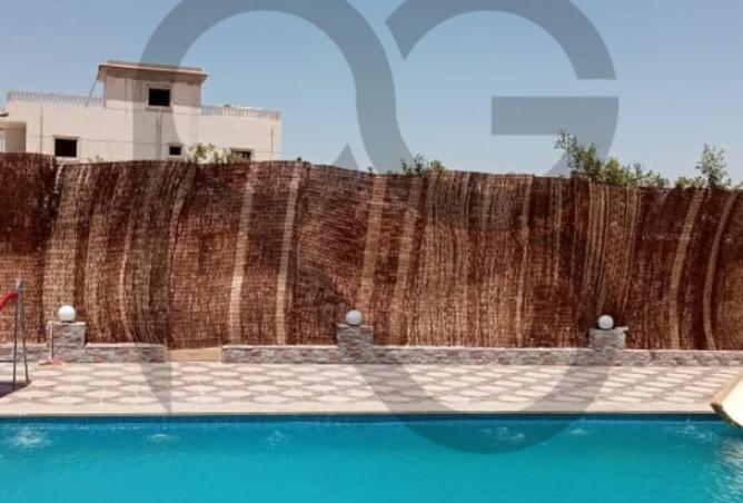 80262506 - صورة العقار 2