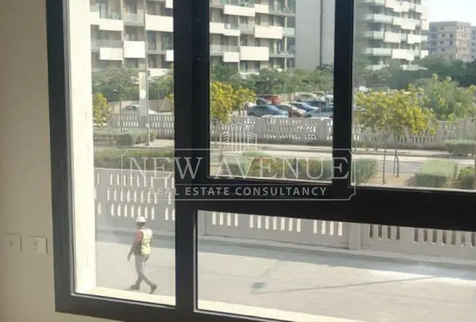 111597126 - Property Image 2