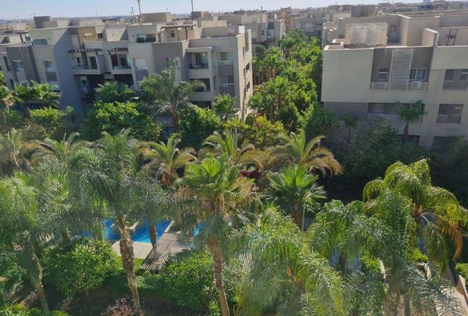 65656663 - Property Image 2