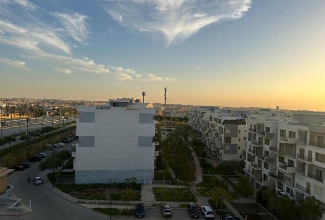 70365069 - Property Image 3