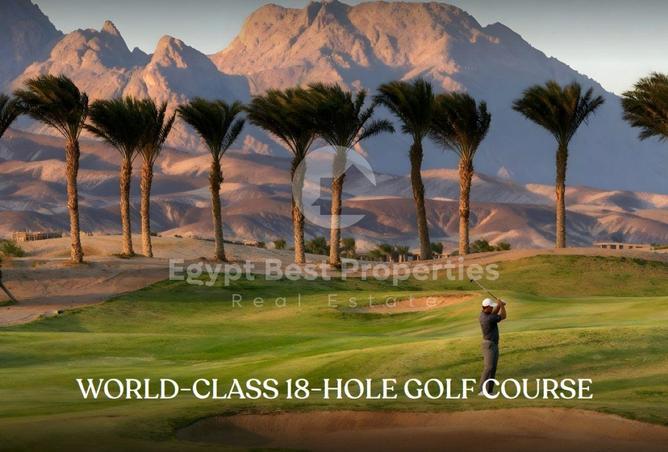 57748535 - Property Image 3