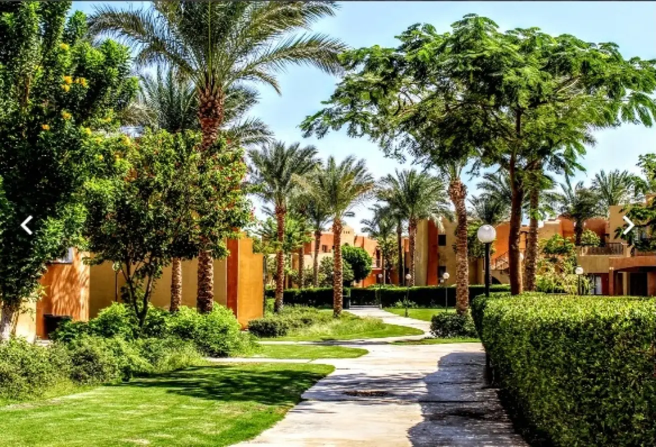 115969483 - Property Main Image