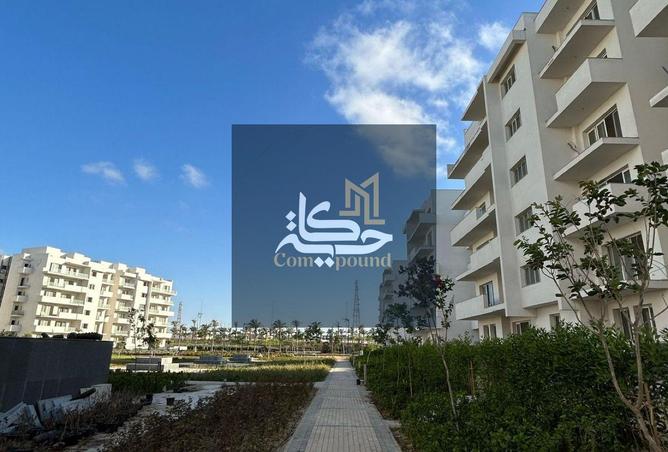 83668753 - صورة العقار 3