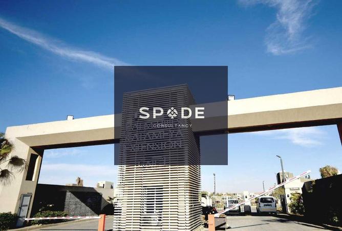 8595019 - صورة العقار 2