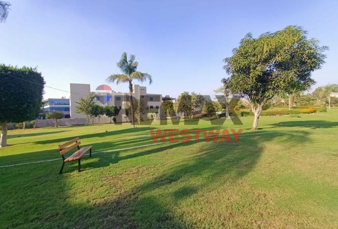 8559068 - Property Image 3