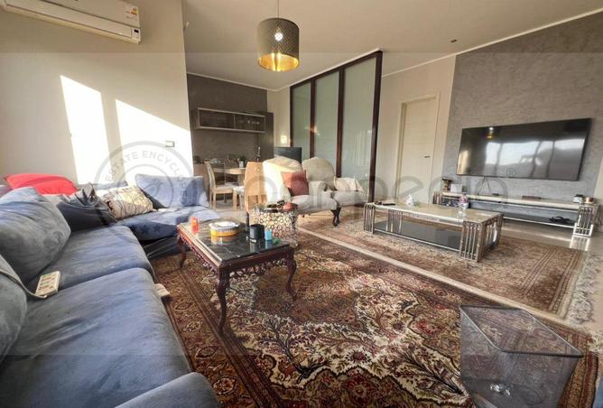 55506175 - Property Image 3