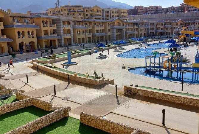 81055878 - صورة العقار 3