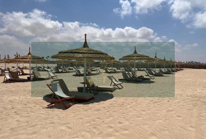98009142 - صورة العقار 2