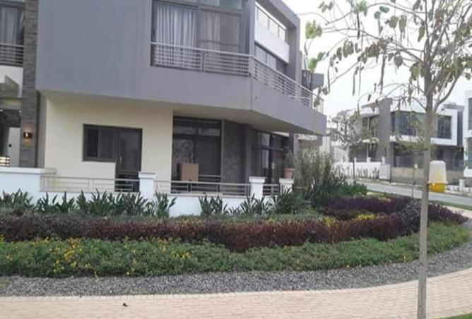 55251823 - Property Image 3