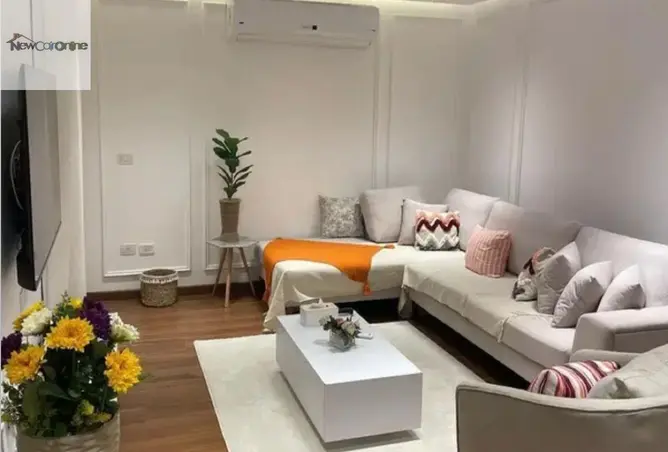 118285942 - Property Image 3