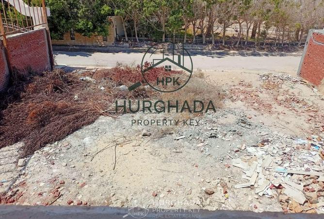 66428945 - Property Image 3