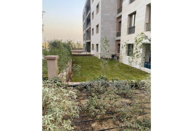 61194274 - Property Image 3